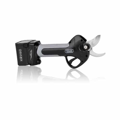 השכרת-מזמרה-חשמלית-לגיזום-מהיר-של-ענפים-ללא-מאמץ.jpeg השכרת מזמרה חשמלית לגיזום מהיר של ענפים ללא מאמץ – תמונה 1