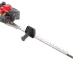 השכרת מגזמת מטורית